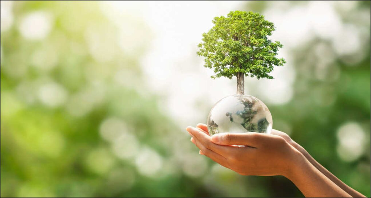 I fattori ESG continuano a guadagnare forza e slancio​