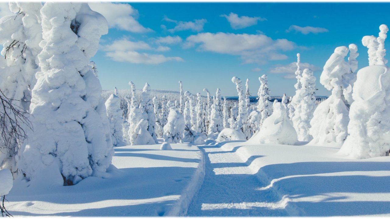ESG Newsletter January 2025